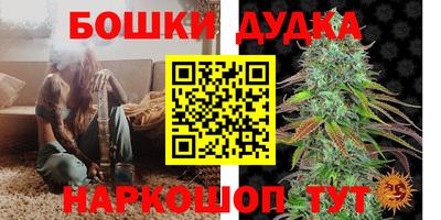 Альфа ПВП Дубна