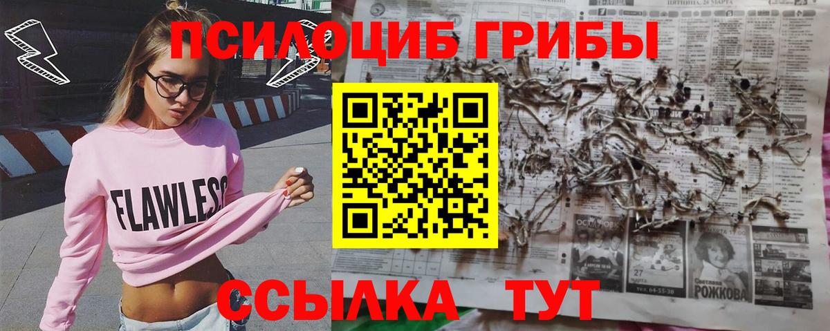 купить   Вход с VPN  Карабулак  Галлюциногенные грибы Magic Shrooms  Псилоцибиновые грибы Magic Shrooms 