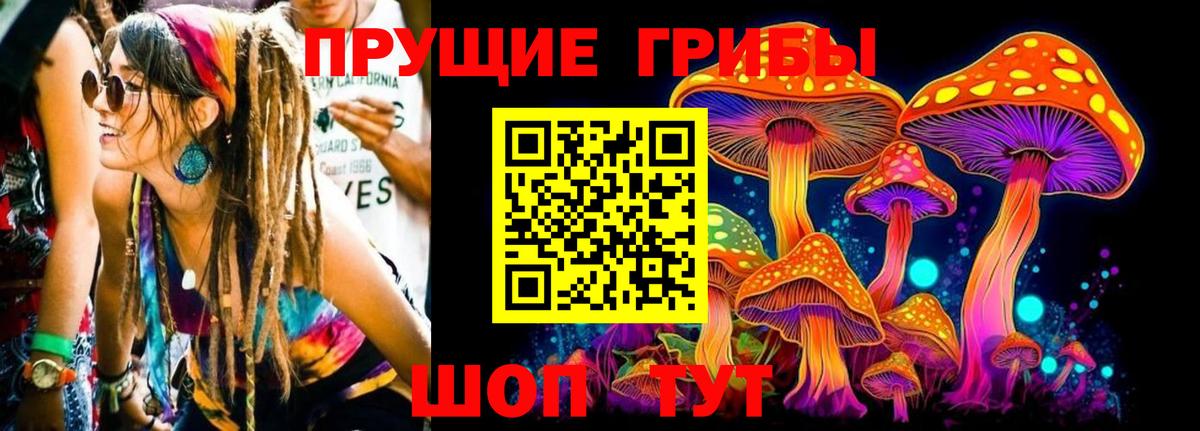 Галлюциногенные грибы GOLDEN TEACHER Карабулак